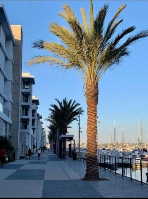 Marina Appartement With Beach View Los Angeles Exteriér fotografie